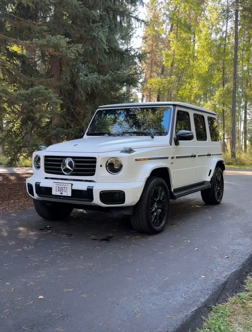 White Mercedes-Benz G-Class after an exterior detail, parked among aspens and pines
